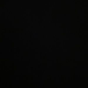 Meet your Posher, Tommie